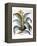 Agave, 1613-Besler Basilius-Framed Premier Image Canvas