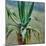 Agave, 1891-Viktor Elpidiforovich Borisov-musatov-Mounted Giclee Print