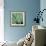 Agave #4-Alan Blaustein-Framed Photographic Print displayed on a wall