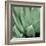 Agave #4-Alan Blaustein-Framed Photographic Print