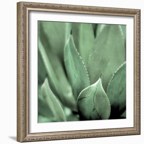 Agave #4-Alan Blaustein-Framed Photographic Print