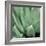 Agave #4-Alan Blaustein-Framed Photographic Print