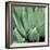 Agave #4-Alan Blaustein-Framed Photographic Print