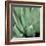 Agave #4-Alan Blaustein-Framed Photographic Print