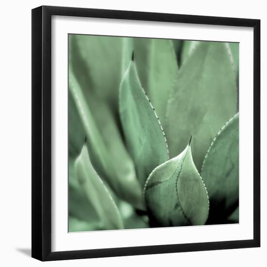 Agave #4-Alan Blaustein-Framed Photographic Print