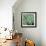 Agave #4-Alan Blaustein-Framed Photographic Print displayed on a wall