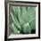 Agave #4-Alan Blaustein-Framed Photographic Print