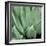 Agave #4-Alan Blaustein-Framed Photographic Print