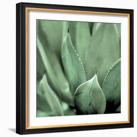 Agave #4-Alan Blaustein-Framed Photographic Print