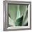 Agave #5-Alan Blaustein-Framed Photographic Print