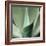 Agave #5-Alan Blaustein-Framed Photographic Print