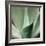 Agave #5-Alan Blaustein-Framed Photographic Print