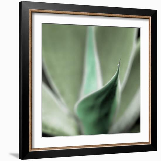 Agave #5-Alan Blaustein-Framed Photographic Print