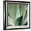 Agave #5-Alan Blaustein-Framed Photographic Print