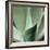 Agave #5-Alan Blaustein-Framed Photographic Print