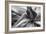 Agave Americana-Moises Levy-Framed Premium Photographic Print