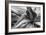 Agave Americana-Moises Levy-Framed Premium Photographic Print