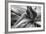 Agave Americana-Moises Levy-Framed Photographic Print