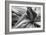 Agave Americana-Moises Levy-Framed Photographic Print