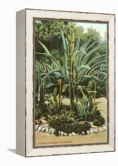 Agave and Cactus, Huntington Gardens-null-Framed Stretched Canvas