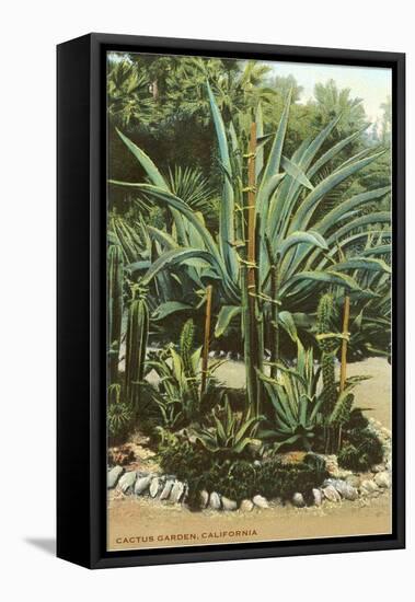 Agave and Cactus, Huntington Gardens-null-Framed Stretched Canvas