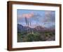 Agave and Organ Mountains, Aguirre Springs, New Mexico-Tim Fitzharris-Framed Photographic Print