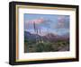 Agave and Organ Mountains, Aguirre Springs, New Mexico-Tim Fitzharris-Framed Photographic Print