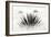 Agave BW I-Douglas Taylor-Framed Photographic Print