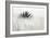 Agave BW II-Douglas Taylor-Framed Photographic Print