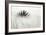 Agave BW II-Douglas Taylor-Framed Photographic Print