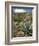 Agave Cactus for Making Mezcal, Oaxaca, Mexico, North America-Robert Harding-Framed Photographic Print