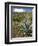 Agave Cactus for Making Mezcal, Oaxaca, Mexico, North America-Robert Harding-Framed Photographic Print