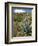 Agave Cactus for Making Mezcal, Oaxaca, Mexico, North America-Robert Harding-Framed Photographic Print