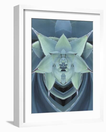 Agave Cactus-Adam Jones-Framed Photographic Print