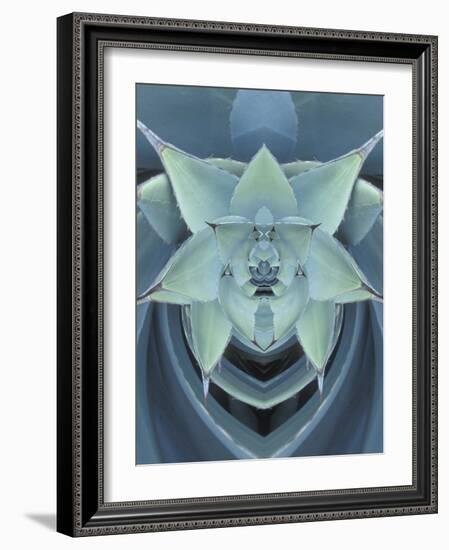 Agave Cactus-Adam Jones-Framed Photographic Print