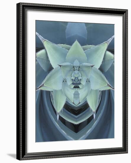 Agave Cactus-Adam Jones-Framed Photographic Print