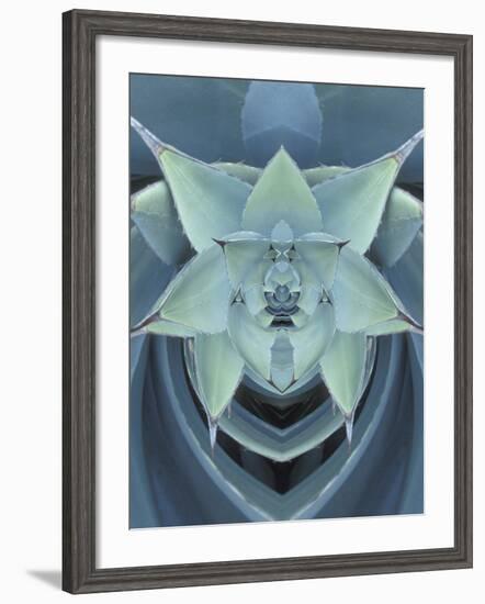 Agave Cactus-Adam Jones-Framed Photographic Print