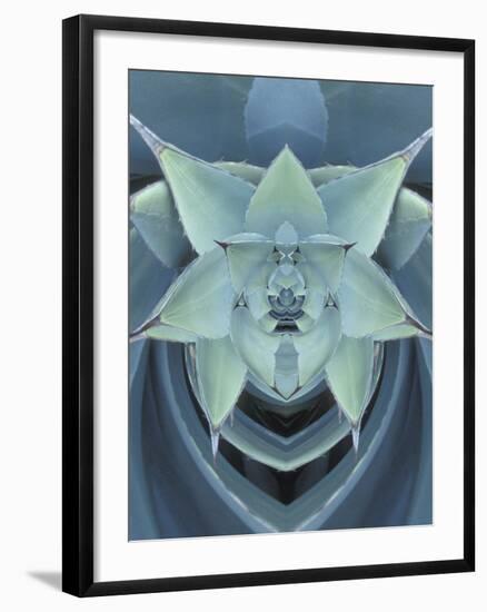 Agave Cactus-Adam Jones-Framed Photographic Print