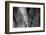 Agave Close-up II-Art Wolfe-Framed Photographic Print