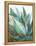 Agave Crop-Danhui Nai-Framed Stretched Canvas