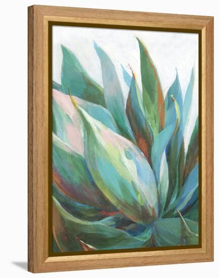 Agave Crop-Danhui Nai-Framed Stretched Canvas