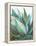 Agave Crop-Danhui Nai-Framed Stretched Canvas