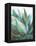 Agave Crop-Danhui Nai-Framed Stretched Canvas