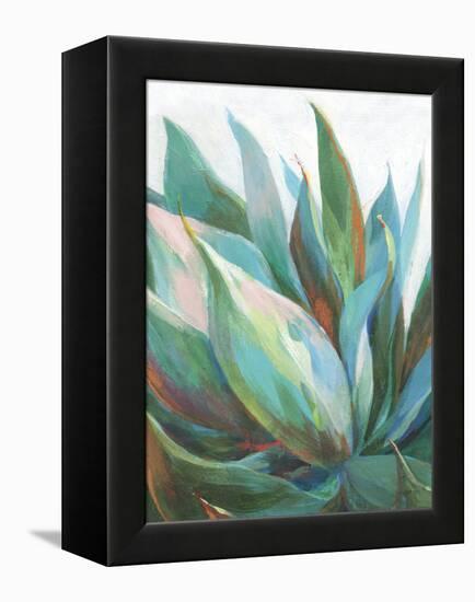 Agave Crop-Danhui Nai-Framed Stretched Canvas