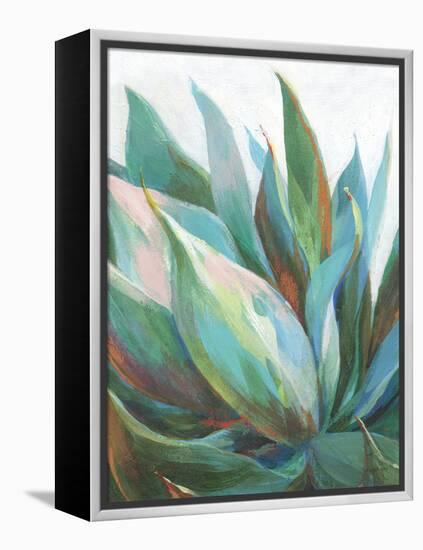 Agave Crop-Danhui Nai-Framed Stretched Canvas