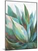 Agave Crop-Danhui Nai-Mounted Art Print