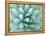 Agave, Desert Botanical Museum, Phoenix, Arizona, USA-Rob Tilley-Framed Premier Image Canvas