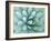 Agave, Desert Botanical Museum, Phoenix, Arizona, USA-Rob Tilley-Framed Photographic Print