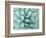 Agave, Desert Botanical Museum, Phoenix, Arizona, USA-Rob Tilley-Framed Photographic Print