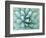 Agave, Desert Botanical Museum, Phoenix, Arizona, USA-Rob Tilley-Framed Photographic Print